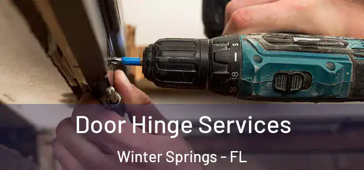 Door Hinge Services Winter Springs - FL
