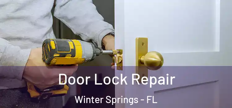 Door Lock Repair Winter Springs - FL