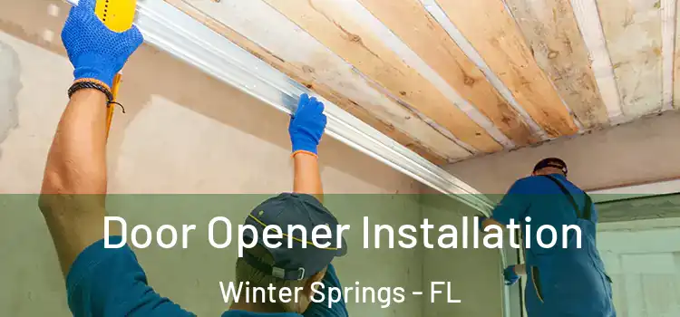 Door Opener Installation Winter Springs - FL