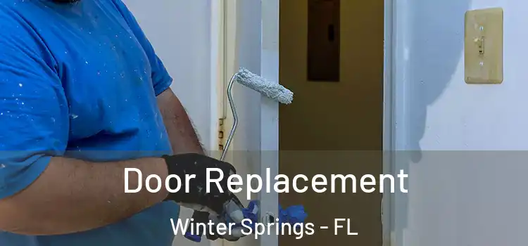 Door Replacement Winter Springs - FL