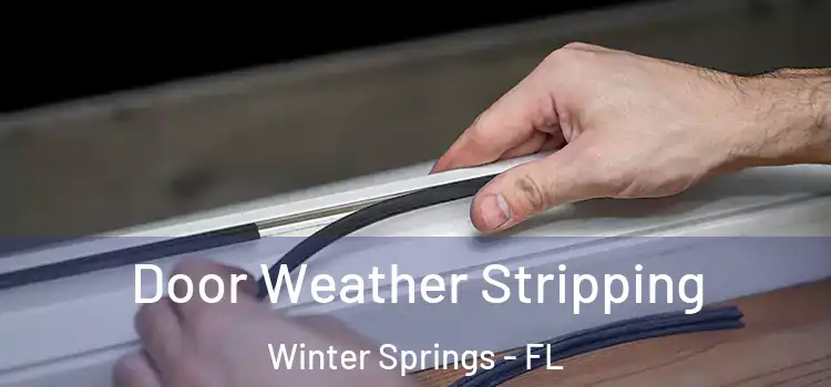 Door Weather Stripping Winter Springs - FL