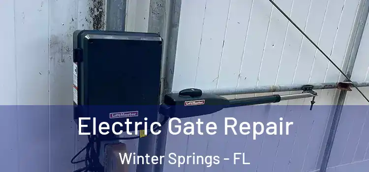 Electric Gate Repair Winter Springs - FL