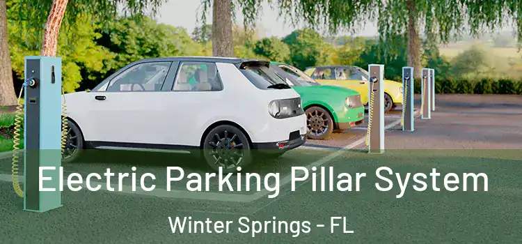 Electric Parking Pillar System Winter Springs - FL