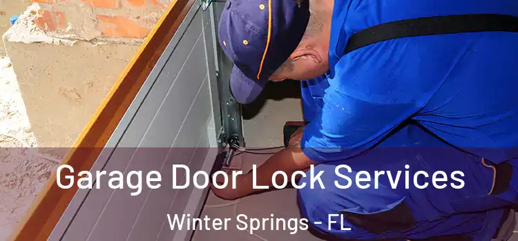 Garage Door Lock Services Winter Springs - FL