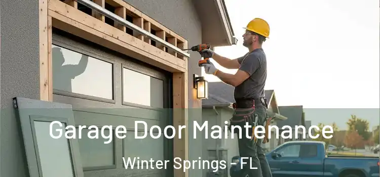 Garage Door Maintenance Winter Springs - FL