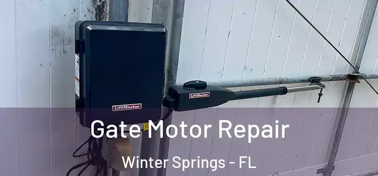 Gate Motor Repair Winter Springs - FL