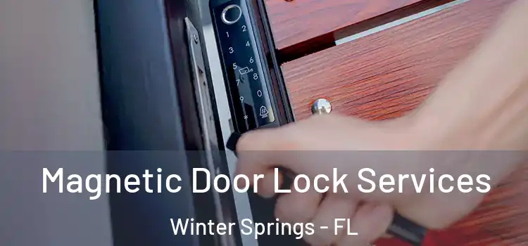 Magnetic Door Lock Services Winter Springs - FL