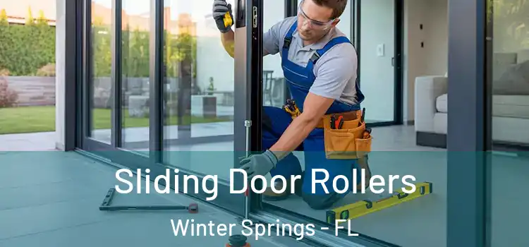 Sliding Door Rollers Winter Springs - FL